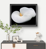 White Lily Flower Closeup Photography Unframed Canvas Print - Modern Floral Wall Art for Home Office Decor