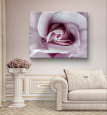 Purple Rose Macro Photography | Gallery Wrapped Canvas Horizontal Print | Authentic Nature Wall Art | Modern Home Office Decor