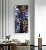 Forest Tree in Sunset | Authentic Nature Closeup Photography | Gallery Wrapped Canvas Vertical Print | Biophilic Wall Art for Home Decor