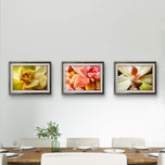 Soft Spring Succulents Canvas Wall Art Set of 3 — Unframed Horizontal Macro Photography Prints