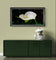 White Arum Lily with Raindrops | Authentic Nature Closeup Photography | Unframed Canvas Horizontal Print | Biophilic Wall Art Style