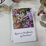 Winter Frost Covered Leaves Original Photography Greeting Cards | Blank Note Cards Set of 4 with Envelopes | 5" × 7" Canvas Paper