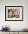 Vibrant Succulents Macro Photography by The Virtue of God | Unframed Horizontal Canvas Set of 2 Prints | Aesthetic Wall Art Home Décor
