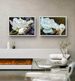 Pale Cream White Rose Canvas Prints Set of 4 | Authentic Nature Closeup Photography | Unframed Botanical Wall Art | Modern Home Office Decor | Vertical & Horizontal Orientations