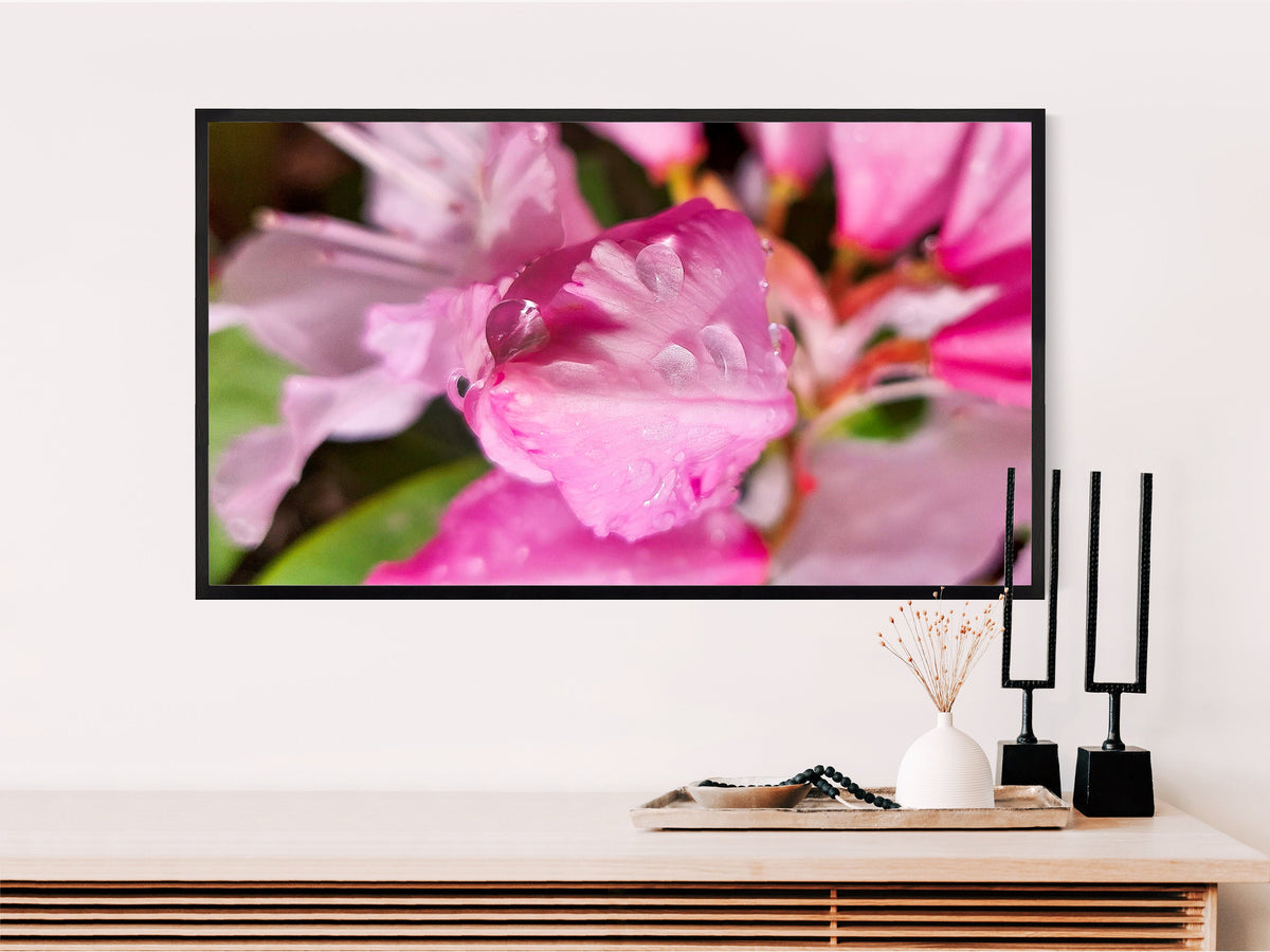 Digital Bundle 9 Prints Set-Pink Rhododendrons with Raindrops-Macro Photography Gallery Wall Art-Instant Download Multi-Device Wallpaper