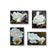 Pale Cream White Rose Canvas Prints Set of 4 | Authentic Nature Closeup Photography | Unframed Botanical Wall Art | Modern Home Office Decor | Vertical & Horizontal Orientations