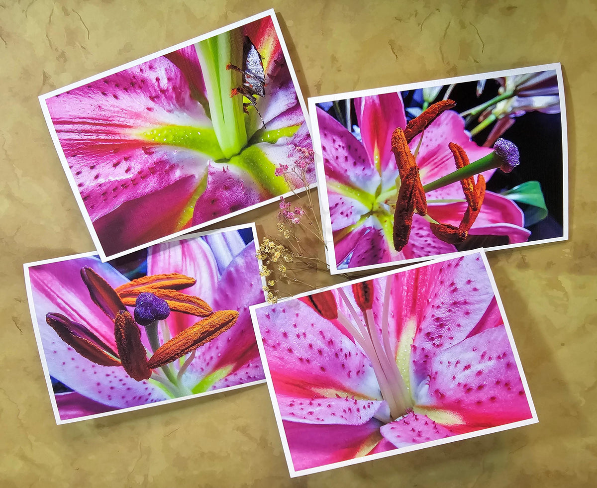 Pink Lily Flowers Original Photo Art Greeting Cards with Envelopes-Floral 4 Cards Set-Spring Blank Note Card 7in x 5in-Nature Lover Gift Set