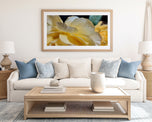 Digital 2 Prints 4x3 & 16x9 Ratios | Yellow Rose Flowers Authentic Macro Photography | Instant Download for Home Wall Art Decor & Multi-Device Wallpapers