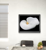 White Lily Flower Closeup Photography Unframed Canvas Print - Modern Floral Wall Art for Home Office Decor