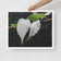 White Leaves with Raindrops Macro Photography Print | Horizontal Framed Canvas for Modern Wall Art Decor