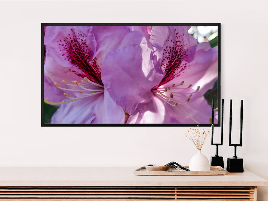 Digital Bundle 9 Prints Set-Purple Rhododendrons-Macro Photography Gallery Wall Art Home Décor-Instant Download Multi-Device Wallpaper
