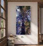 Forest Tree in Sunset | Authentic Nature Closeup Photography | Gallery Wrapped Canvas Vertical Print | Biophilic Wall Art for Home Decor