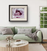 Purple Rose Authentic Macro Photography Horizontal Print | Unframed Canvas Wall Art | Modern Nature Home & Office Decor