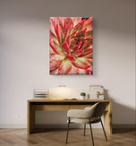 Red Succulents with Raindrops | Macro Photography Print | Vertical Gallery Wrapped Canvas Wall Art for Home & Office