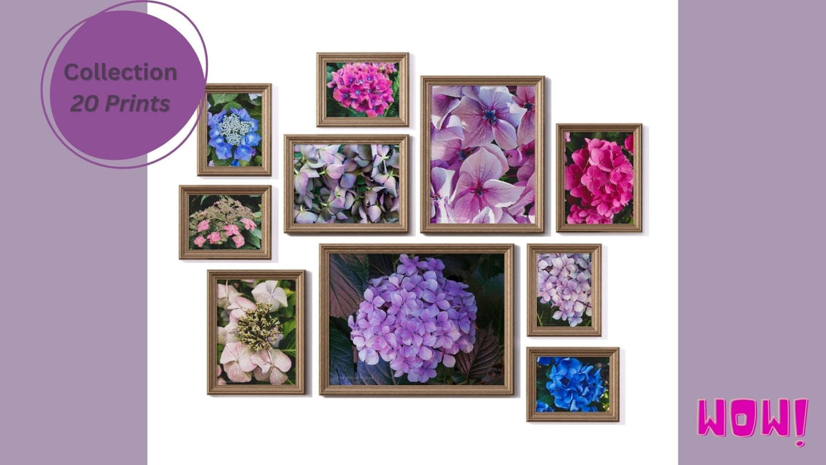 Digital Hydrangea Flowers Bundle 20 Prints - Closeup Photography Floral Gallery Wall Home Office Décor - Instant Download