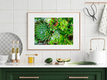 Digital 7 Prints 3x4 Ratio | Vibrant Succulent Plants Authentic Macro Photography | Instant Download for Home Wall Art Décor & Multi-Device Wallpapers