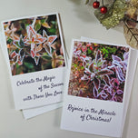 Winter Frost Covered Leaves Original Photography Greeting Cards | Blank Note Cards Set of 4 with Envelopes | 5" × 7" Canvas Paper