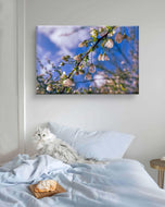 White Spring Blossom with Raindrops | Macro Floral Photography on Horizontal Wrapped Canvas | Modern Botanical Wall Art for Home & Office Décor