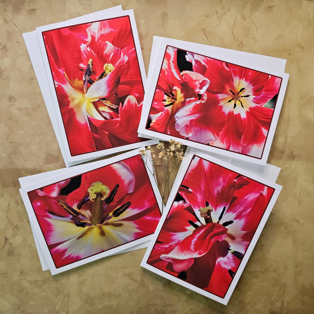 Greeting / Note Cards with Envelopes Featuring Red Tulip Flowers Original Macro Photography
