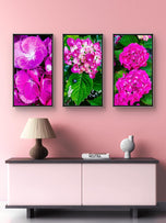Pink Hydrangea Close-Up Nature Photography | Vertical Unframed Canvas Wall Art Set of 3 | Elegant Floral Print for Home, Office, or Gift