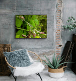 Green Grass with Raindrops | Authentic Nature Macro Photography - Unframed Canvas Horizontal Print | Biophilic Design Style