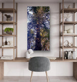 Forest Tree in Sunset | Authentic Nature Closeup Photography | Gallery Wrapped Canvas Vertical Print | Biophilic Wall Art for Home Decor
