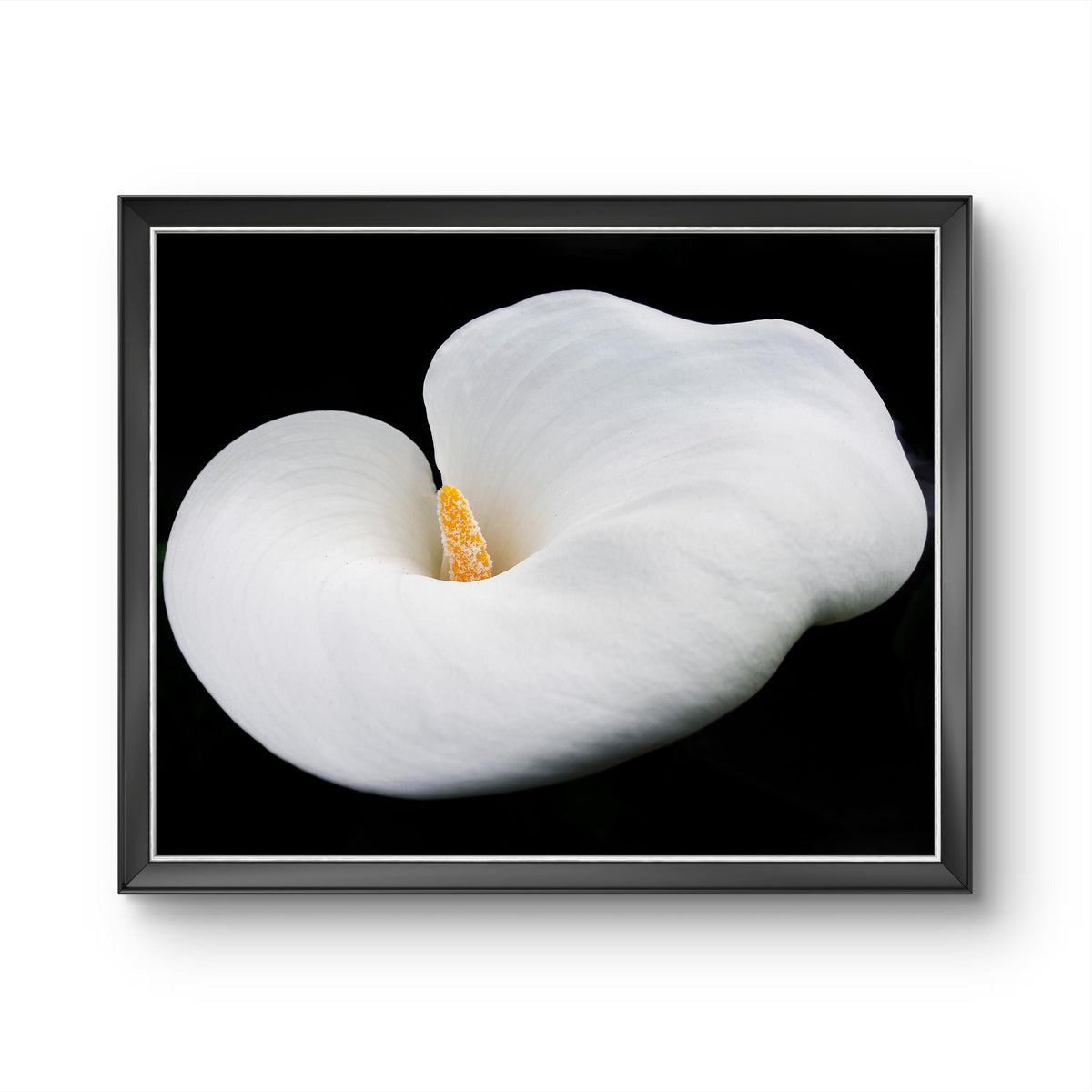 White Lily Flower Closeup Photography Unframed Canvas Print - Modern Floral Wall Art for Home Office Decor
