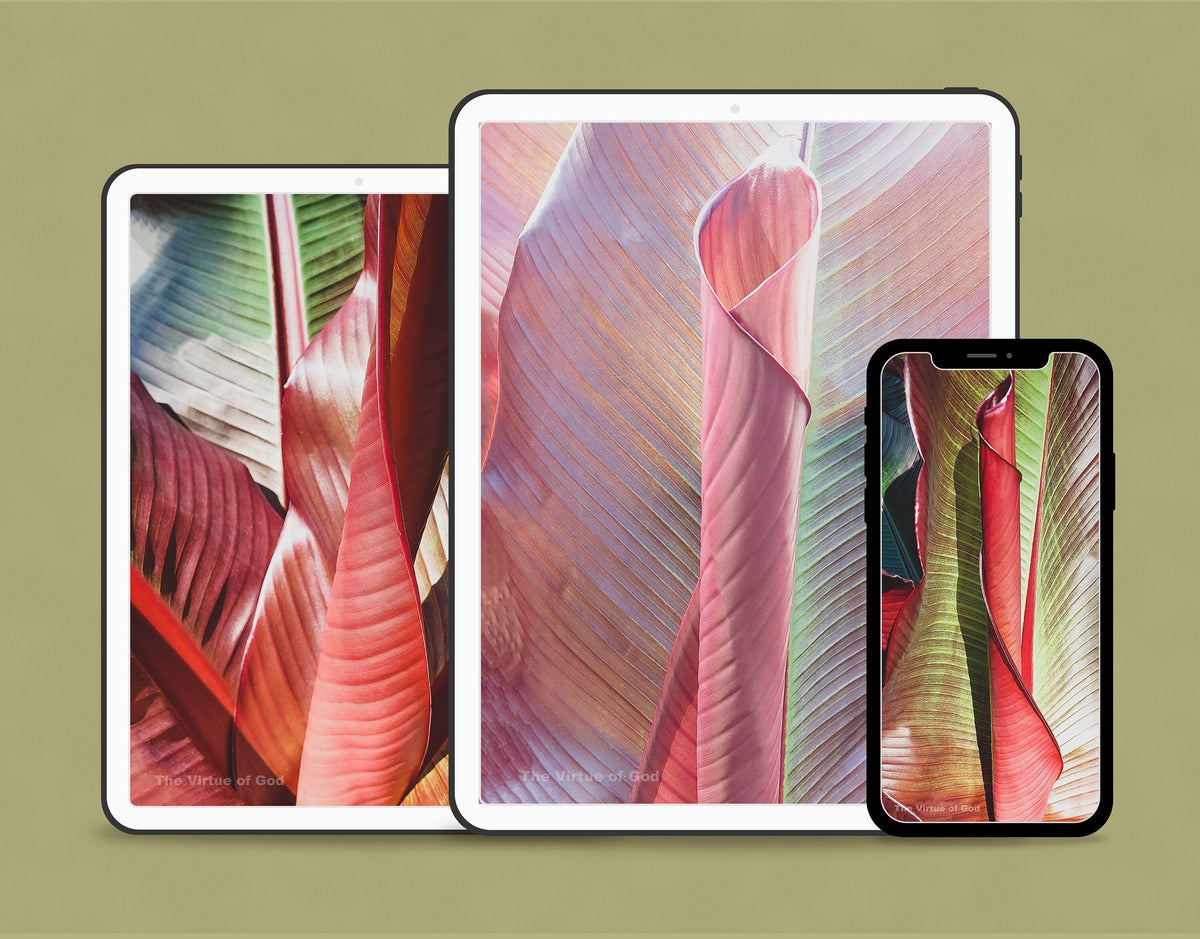Digital 3 Prints Set-Vibrant Tropical Leaves-Closeup Photography Wall Art Home Office Décor-Instant Download Multi-Device Wallpapers