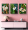 Polka Dot Begonia Flowers Closeup Photography Unframed Canvas Set of 3 Prints - Modern Nature Wall Art for Home Office Decor