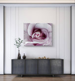 Purple Rose Macro Photography | Gallery Wrapped Canvas Horizontal Print | Authentic Nature Wall Art | Modern Home Office Decor