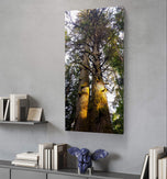 Forest Trees in Golden Sunset | Authentic Nature Closeup Photography | Gallery Wrapped Canvas Vertical Print | Biophilic Wall Art Decor