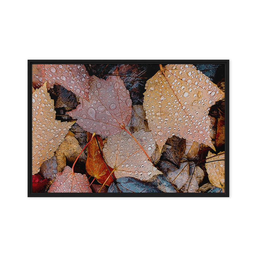 Autumn Rainy Vibrant Leaves Authentic Macro Photography Print on Black Framed Horizontal Canvas