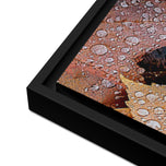 Autumn Rainy Vibrant Leaves Authentic Macro Photography Print on Black Framed Horizontal Canvas | Biophilic Wall Art for Home Office Décor