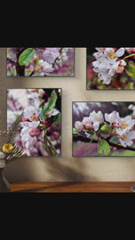 Rainy Apple Blossom Macro Photography Canvas Set of 4 | Unframed Vertical & Horizontal Spring Wall Art | Biophilic Décor for Living Room, Bedroom & Office