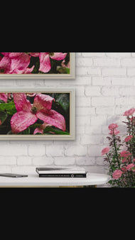 Moody Pink Dogwood Canvas Wall Art Set of 2 — Rain-Kissed Macro Botanical Prints