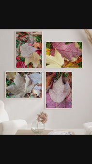 Autumn Vibrant Leaves Biophilic Wall Art Decor | Raindrops Nature Photography Prints Set of 4 on Unstretched Museum-Quality Canvas