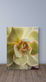 Spring Yellow Succulent Plant  | Nature Macro Photography Print |  Vertical Gallery Wrapped Canvas | Biophilic Style Wall Art