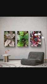 Vibrant Succulent Plants Authentic Closeup Photography Wall Art | Vertical Unframed Canvas Prints Set of 3 | Biophilic Home Office Décor