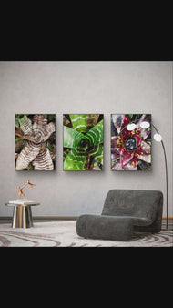 Vibrant Succulent Plants Authentic Closeup Photography Wall Art | Vertical Unframed Canvas Prints Set of 3 | Biophilic Home Office Décor