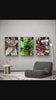 Vibrant Succulent Plants Authentic Closeup Photography Wall Art | Vertical Unframed Canvas Prints Set of 3 | Biophilic Home Office Décor