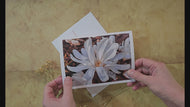 Greeting / Note Cards with Envelopes Featuring White Magnolia Flowers Original Closeup Photography | Blank 6 Cards Set – 7” x 5” | Nature Lover Gift