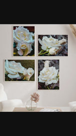 Pale Cream White Rose Canvas Prints Set of 4 | Authentic Nature Closeup Photography | Unframed Botanical Wall Art | Modern Home Office Decor | Vertical & Horizontal Orientations