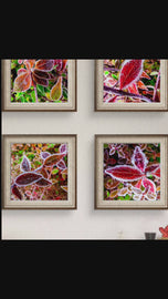 Winter Frost Red Leaves Authentic Macro Photography | Stress-Relief Nature Art | Unframed Canvas Square Print Set of 4 | Biophilic Wall Decor