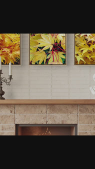 Autumn Yellow Maple Leaves  Authentic Macro Photography | Unstretched Canvas Square Print Set of 3 | Biophilic Wall Art Decor
