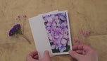 Greeting / Note Cards with Envelopes Featuring Vibrant Hydrangea Blossoms Original Photography | Blank 4 Cards Set 4.5x6.25 in, 5.5x8.5 in