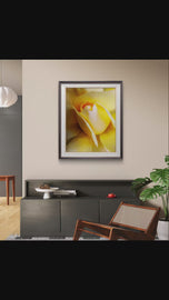 Yellow Rose Macro Photography Print | Authentic Nature Wall Art | Unframed Canvas Vertical Print | Modern Home Office Decor