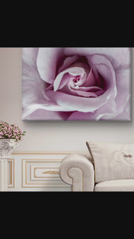 Purple Rose Macro Photography | Gallery Wrapped Canvas Horizontal Print | Authentic Nature Wall Art | Modern Home Office Decor