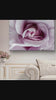 Purple Rose Macro Photography | Gallery Wrapped Canvas Horizontal Print | Authentic Nature Wall Art | Modern Home Office Decor