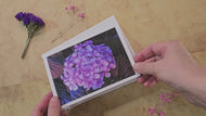 Greeting / Note Cards with Envelopes Featuring Vibrant Hydrangea Blossoms Original Photography | Blank 4 Cards Set 6.25x4.5 in, 8.5x5.5 in