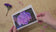 Greeting / Note Cards with Envelopes Featuring Vibrant Hydrangea Blossoms Original Photography | Blank 4 Cards Set 6.25x4.5 in, 8.5x5.5 in